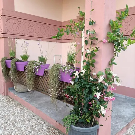 Maison Belle Époque&suites Oristano Habitación foto