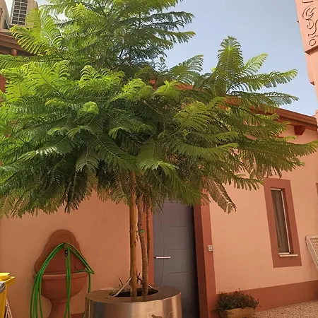 Maison Belle Époque&suites Oristano Habitación foto