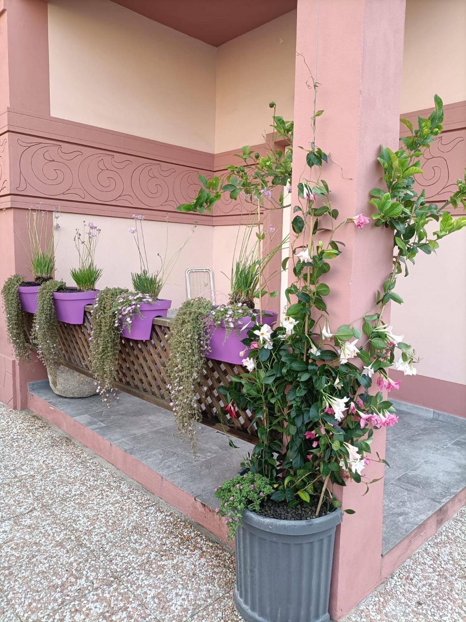 Apartment Maison Belle Epoque & Oristano